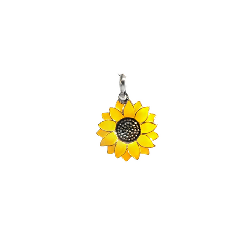 Silver Charms/Pendant