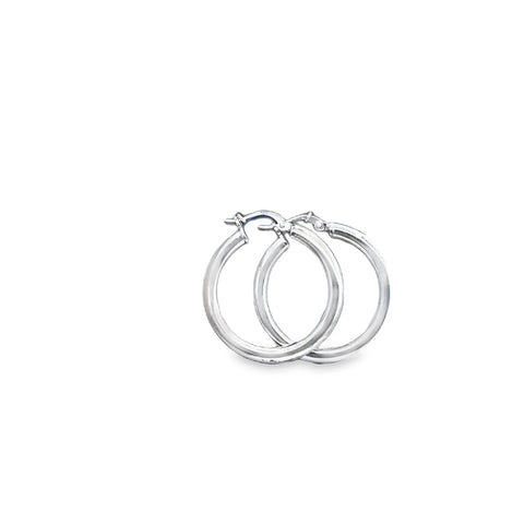 Silver Earring