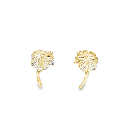 Precious Metal (No Stones) Earring