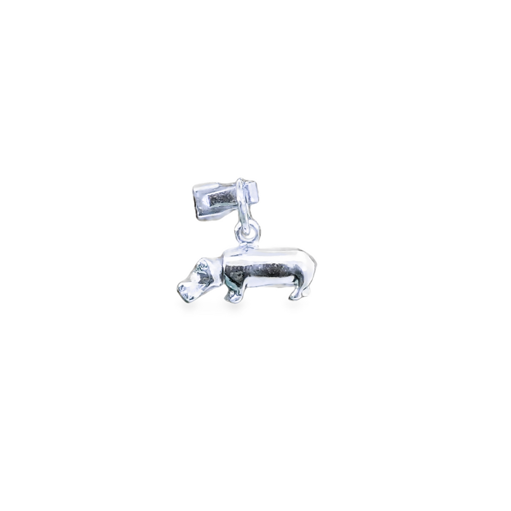 Silver Charms/Pendant