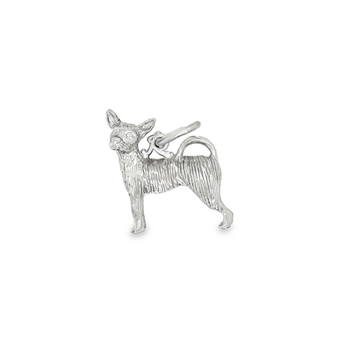 Silver Charms/Pendant