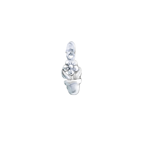 Silver Charms/Pendant