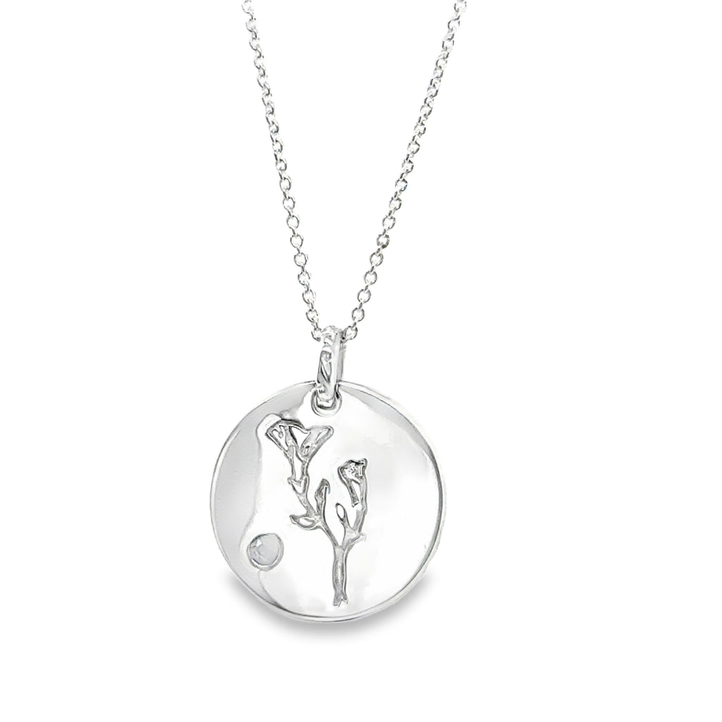 Silver Charms/Pendant