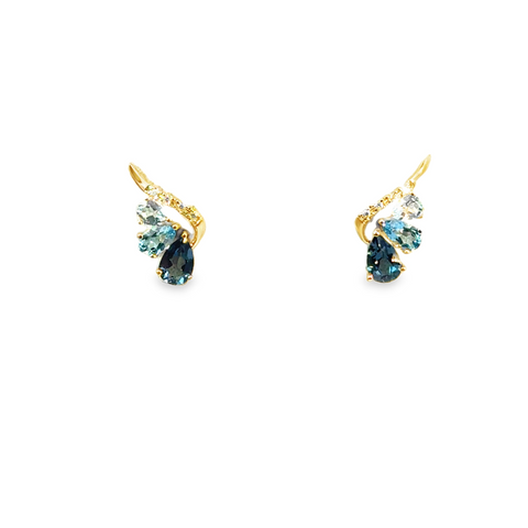 Colored Stone Earring