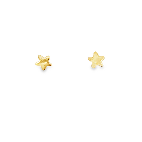 Precious Metal (No Stones) Earring