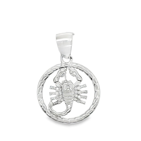 Silver Charms/Pendant