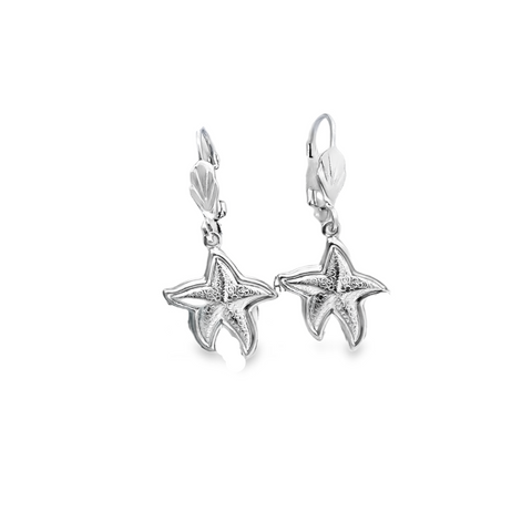 Silver Earring