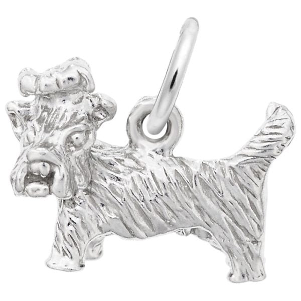 Silver Charms/Pendant