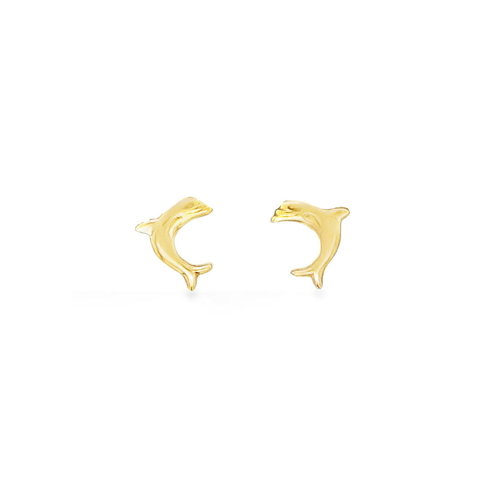 Silver Earring