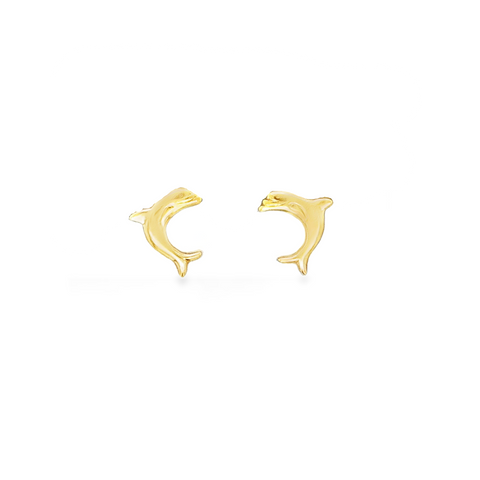 Silver Earring