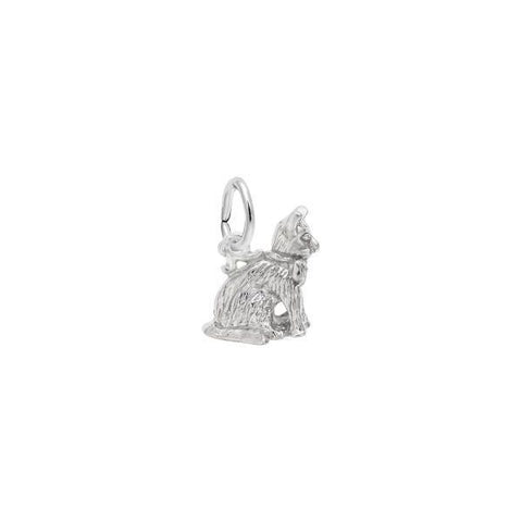 Silver Charms/Pendant