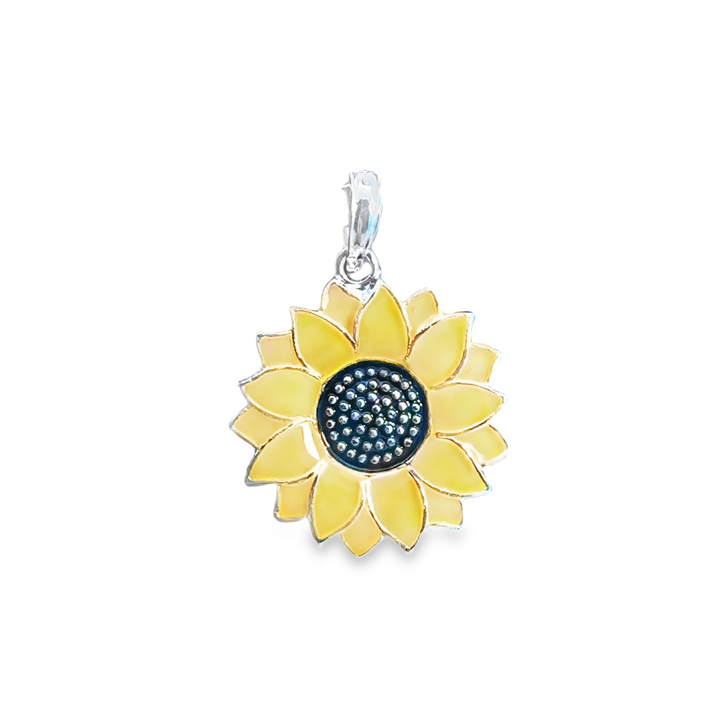 Silver Charms/Pendant