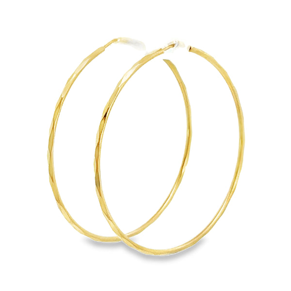 Precious Metal (No Stones) Earring