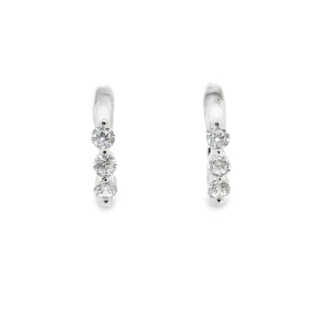 Silver Earring