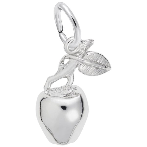 Silver Charms/Pendant