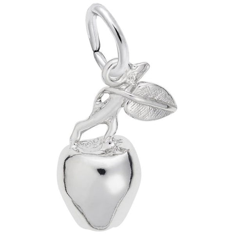Silver Charms/Pendant