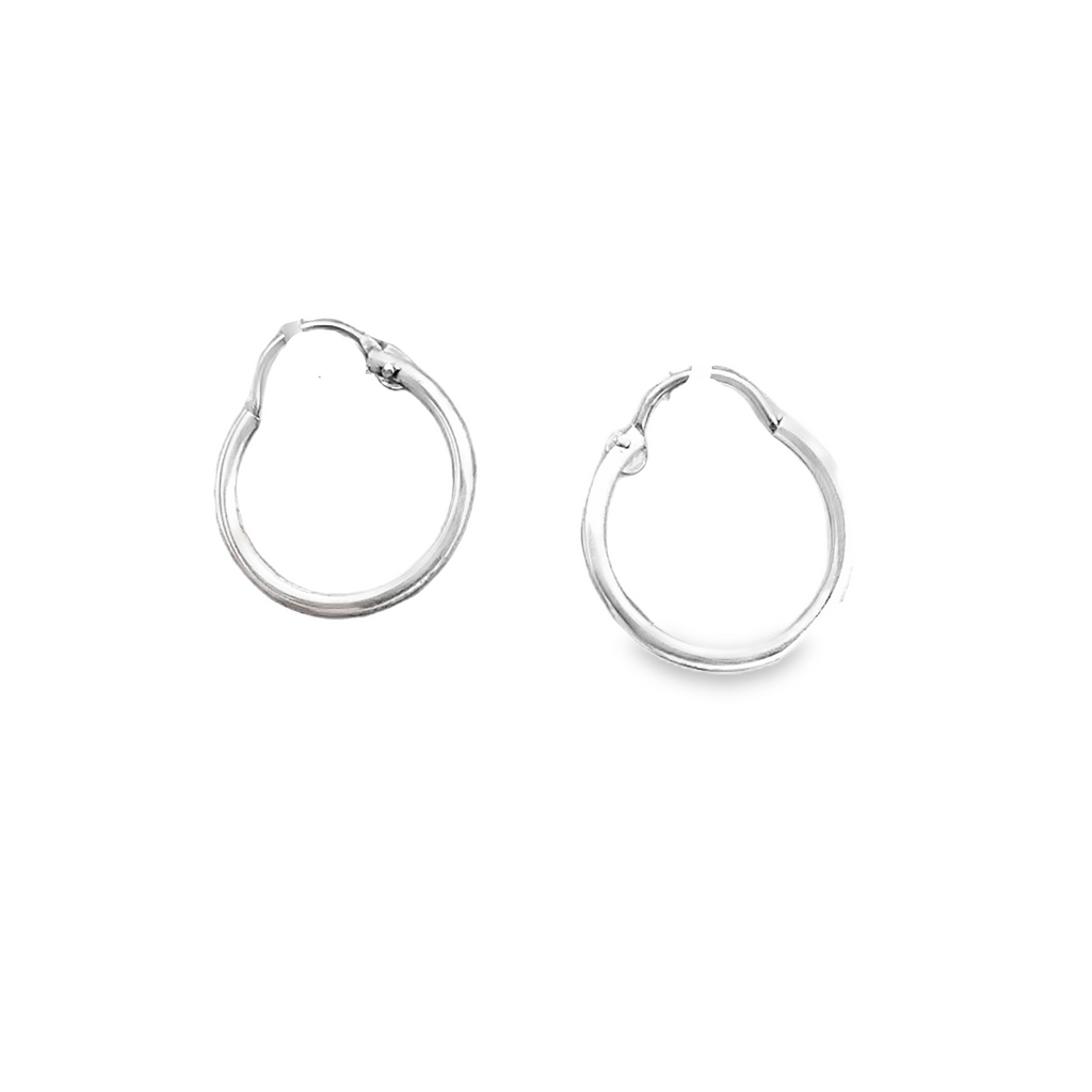 Colored Stone Earring
