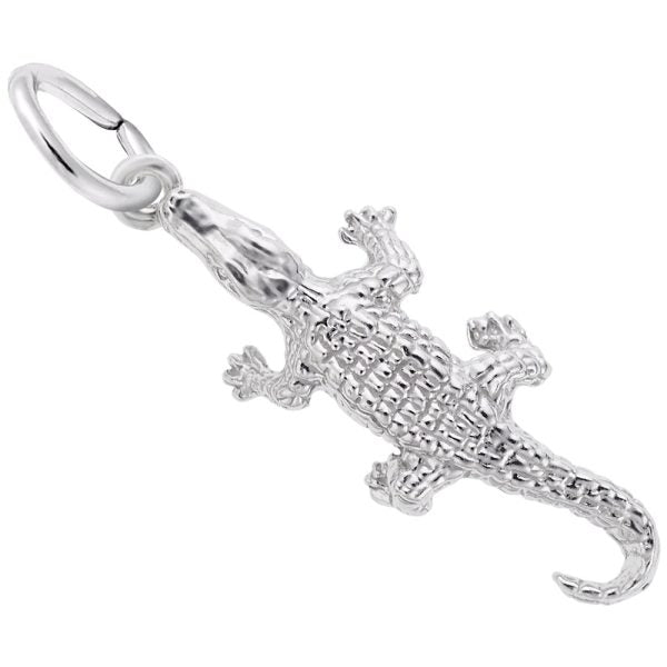 Silver Charms/Pendant