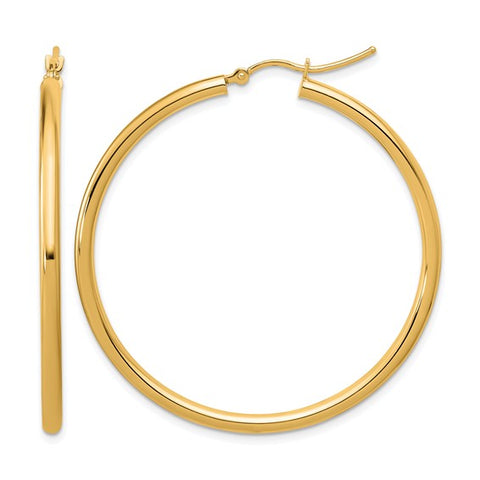 Precious Metal (No Stones) Earring