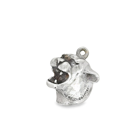Silver Charms/Pendant