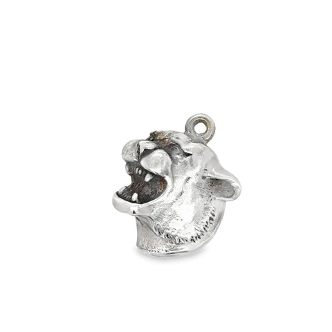 Silver Charms/Pendant