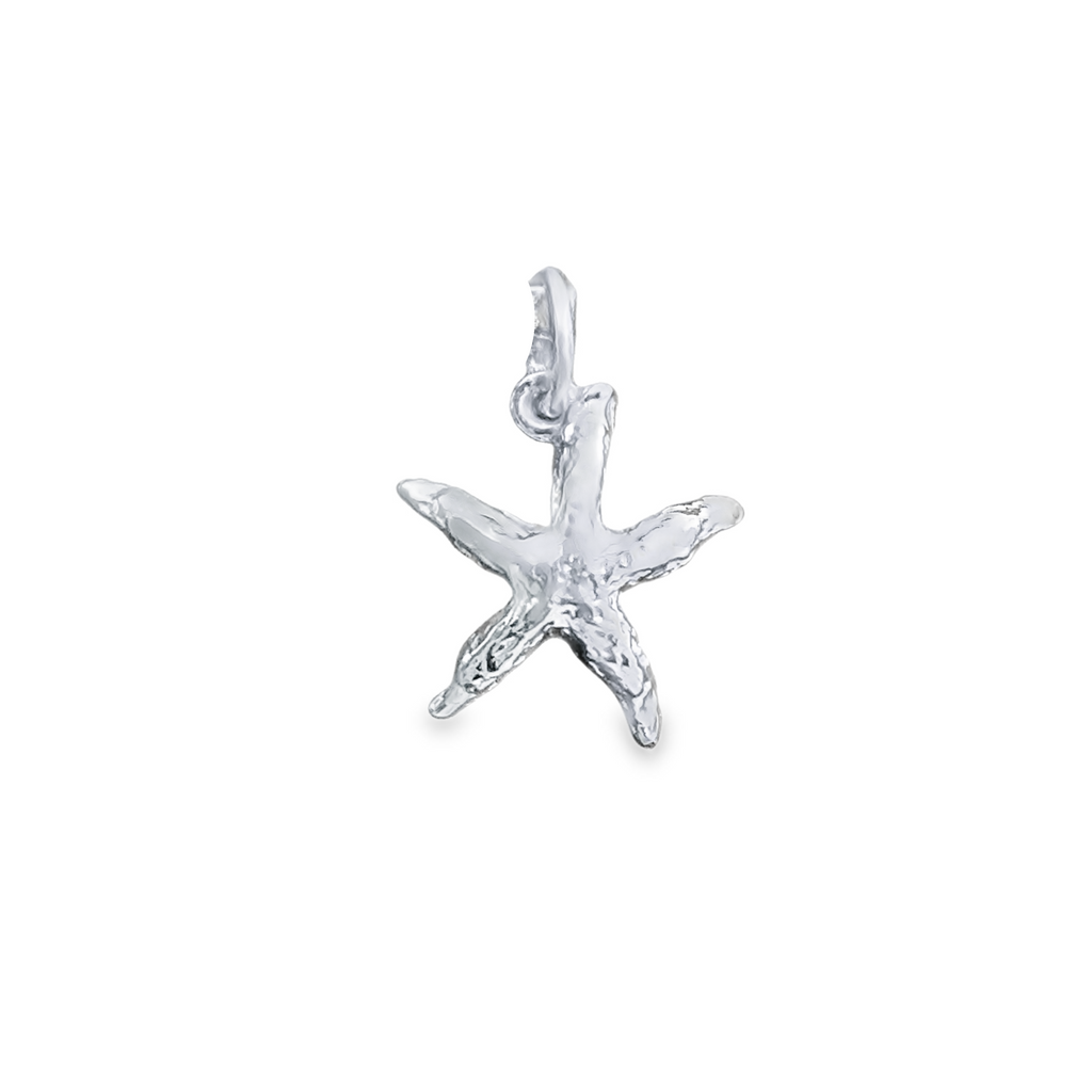 Silver Charms/Pendant