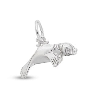 Silver Charms/Pendant